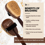 Eco Bath Körperbürste aus natürlichem Sisal-Walnussholz