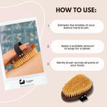 Eco Bath Handbürste aus natürlichem Sisal und Walnussholz