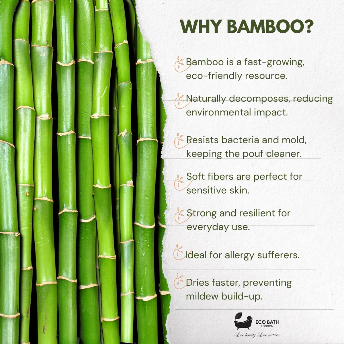 Öko-Badebürste aus Bambus mit Holzstiften 