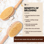 Brosse pour le corps en sisal naturel Eco Bath avec poils durs 
