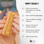 Eco Bath Nagelbürste aus natürlichem Sisal-Buchenholz 