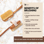 Brosse pour le corps en bois d'olivier en sisal naturel de luxe Eco Bath 