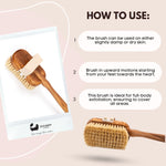 Brosse pour le corps en bois d'olivier en sisal naturel de luxe Eco Bath 