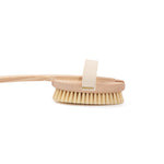 Eco Bath Natural Bristle Body Brush with Soft Bristles - Eco Bath London™